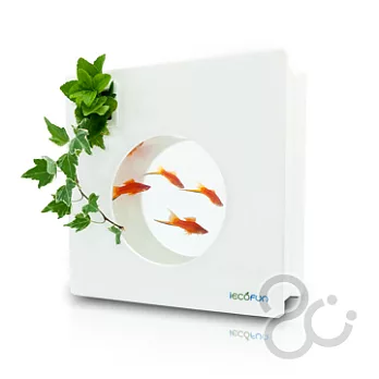 花魚共生新主張2Ustyle水中幻月造型魚缸 -白色