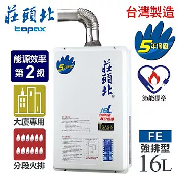 【莊頭北】16L數位恆溫分段火排水量強制排氣熱水器／TH-7167AFE(LPG/FE式桶裝瓦斯)