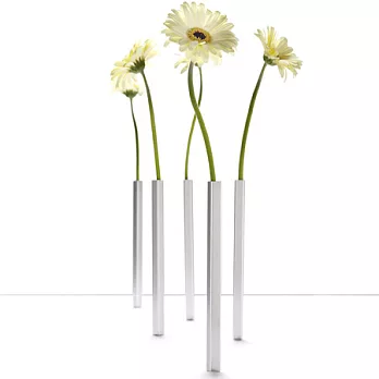 《MB》Vase 長管磁吸花瓶組(5入)