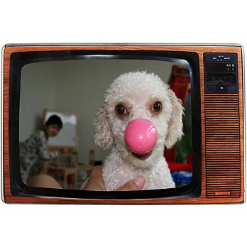 《KIKKERLAND》TV 偽電視4x6相框(淺棕)