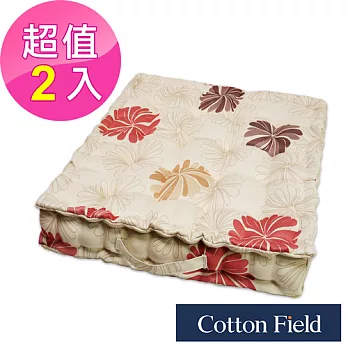 棉花田【蜜莉恩】印花立體胖胖墊(二件組)