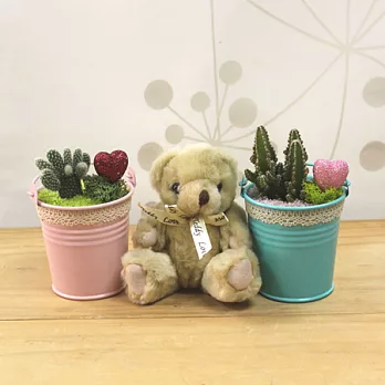 迎光-甜蜜花園提桶植栽組(二入)(款式隨機出貨)