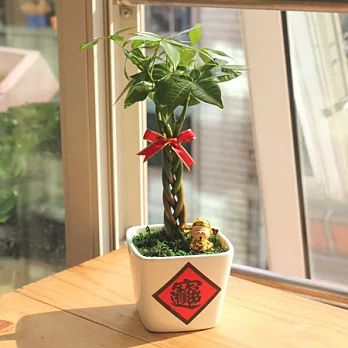 迎光-好神臨門植栽