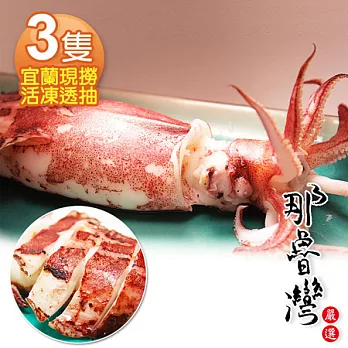 【那魯灣】宜蘭現撈活凍透抽3隻(長26～30cm/300g)