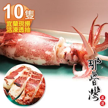 【那魯灣】宜蘭現撈活凍透抽10隻(長26～30cm/約300g)