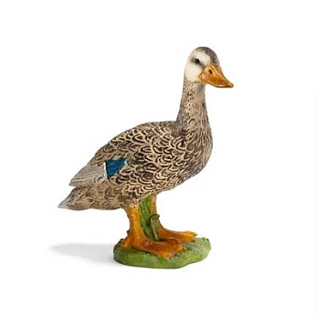 Schleich 史萊奇動物模型- 鴨子 (雌)