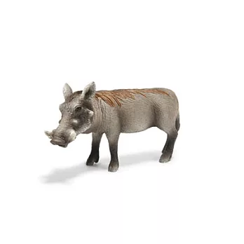 Schleich 史萊奇動物模型- 山豬