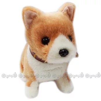 IWAYA走路的柴犬