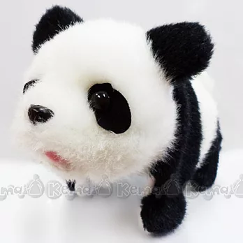 IWAYA走路的貓熊