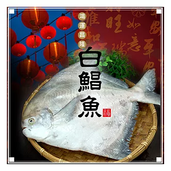 【優鮮配】頂級野生白鯧魚2件組(已去肚淨重約470g/尾)