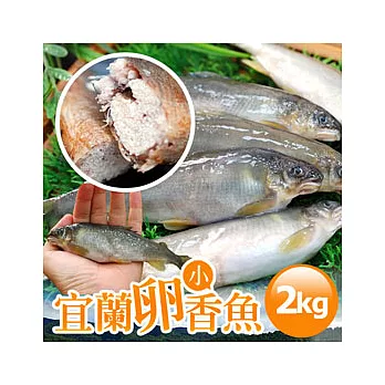 【優鮮配】宜蘭極品小卵香魚2盒免運組(14尾裝/1kg/盒)