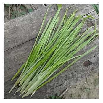 [台灣好農]有機小麥草