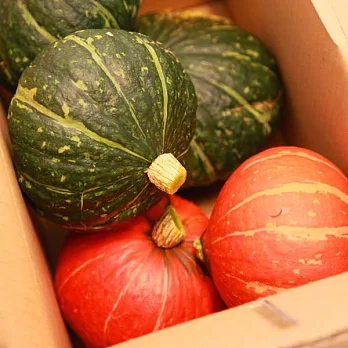 預購[壽豐印象] 花蓮產地直送栗子南瓜（品種：東昇混栗子）(15kg)(含運)