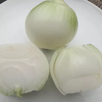 [台灣好農]無毒洋蔥(1台斤)