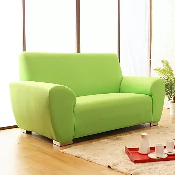 《Homebeauty》大和防蹣抗菌彈性沙發罩/沙發套-兩人座沙發蘋果綠