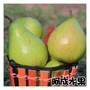 【阿成水果】紐西蘭特選香梨(40~44粒/約4kg)