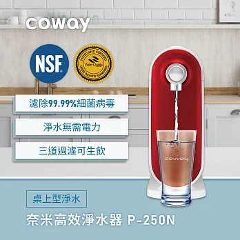 Coway 奈米高效淨水器 P-250N