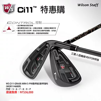 【Wilson】高爾夫鐵桿組 － WGR114600R