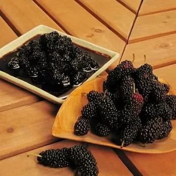 《阿洲水果》冷凍桑椹10斤