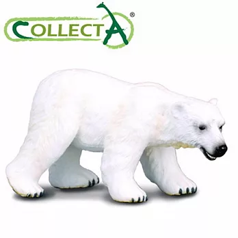 【CollectA】海洋系列 - 北極熊