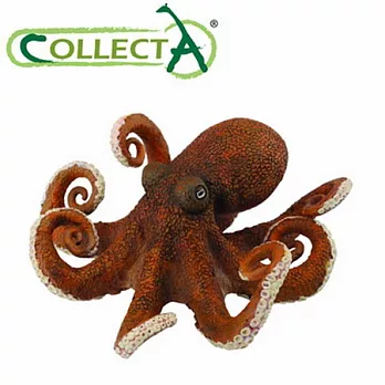 【CollectA】海洋系列 - 八爪章魚