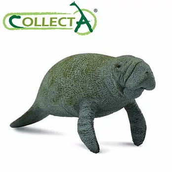 【CollectA】海洋系列 - 海牛