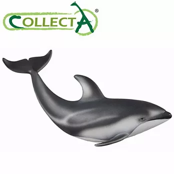 【CollectA】海洋系列 - 太平洋斑紋海豚