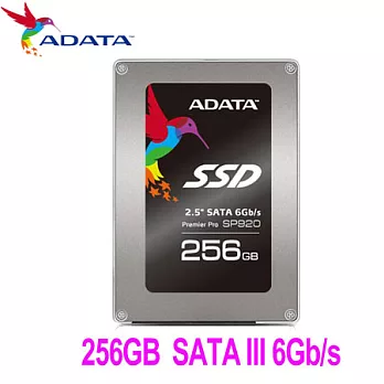 ADATA 威剛 Premier SP920 256G SSD固態硬碟