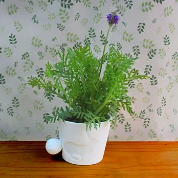 [迎光]香草森林植栽-兔子(薰衣草)