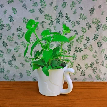 ［迎光］香草森林植栽-貓咪(香薄荷)