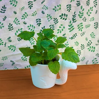 [迎光]香草森林植栽-松鼠(香蜂草)