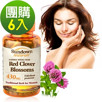 Sundown日落恩賜 高單位頂級紅花苜蓿膠囊(100粒x6瓶)組