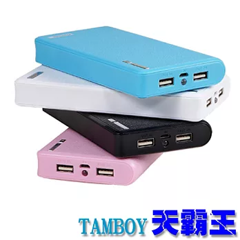TAMBOY 天霸王負鋰子行動電源15600mAh - 2入組黑