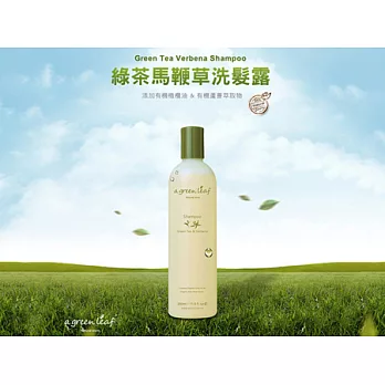 a green leaf 綠茶馬鞭草洗髮露 350ml