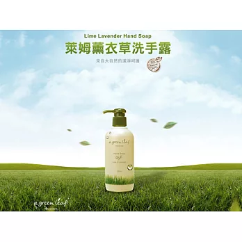 a green leaf 萊姆薰衣草洗手露 250ml