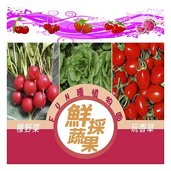 【迎光】FUN種植物園系列(鮮採蔬果-櫻桃蘿蔔.綠萵苣.迷你番茄)