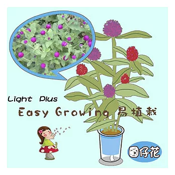 【迎光】Easy Growing易植栽(淡藍-圓仔花)