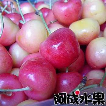 【阿成水果】美國華盛頓空運白櫻桃禮盒(1.2kg/盒 9.5Row)