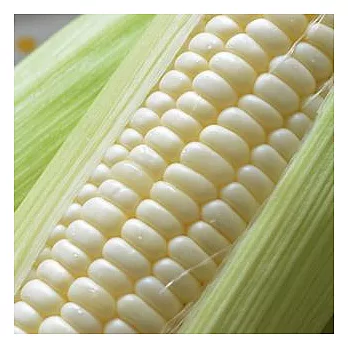 【台灣好農】白珍珠水果玉米(10台斤)