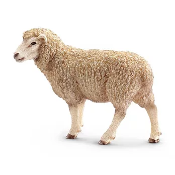 Schleich 史萊奇動物模型-捲捲毛綿羊