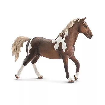 Schleich 史萊奇動物模型-馬術競技馬