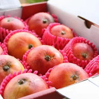 [Mango House]蘋果檨-愛文芒果10斤(約12~15顆)(含運)