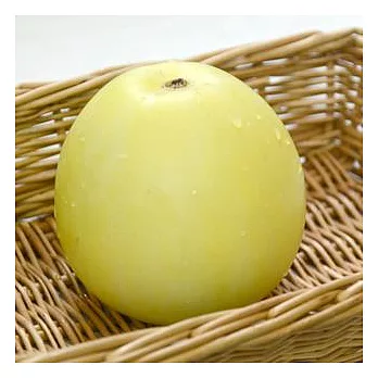 【台灣好農】職人栽種有機美濃瓜(小果)(非冷凍商品)