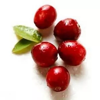 [綠邦食品]鮮凍水果-蔓越莓(180g)