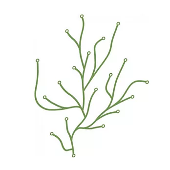 Vitra Algue別具枝飾(綠色)