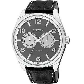 CITIZEN 世界首選的美感時尚優質光動能腕錶-灰-AO9020-09H