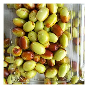 【台灣好農】新鮮無毒紅棗(1台斤)