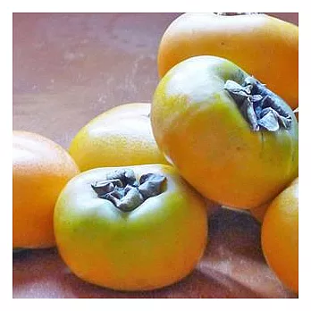 【台灣好農】有機刀根早生柿(3台斤)