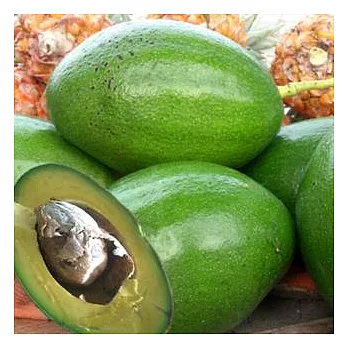 【台灣好農】老莊有機轉型期酪梨(3台斤)