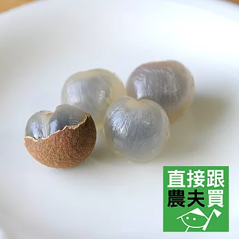 直接跟農夫買- 自然果香龍眼（3公斤）